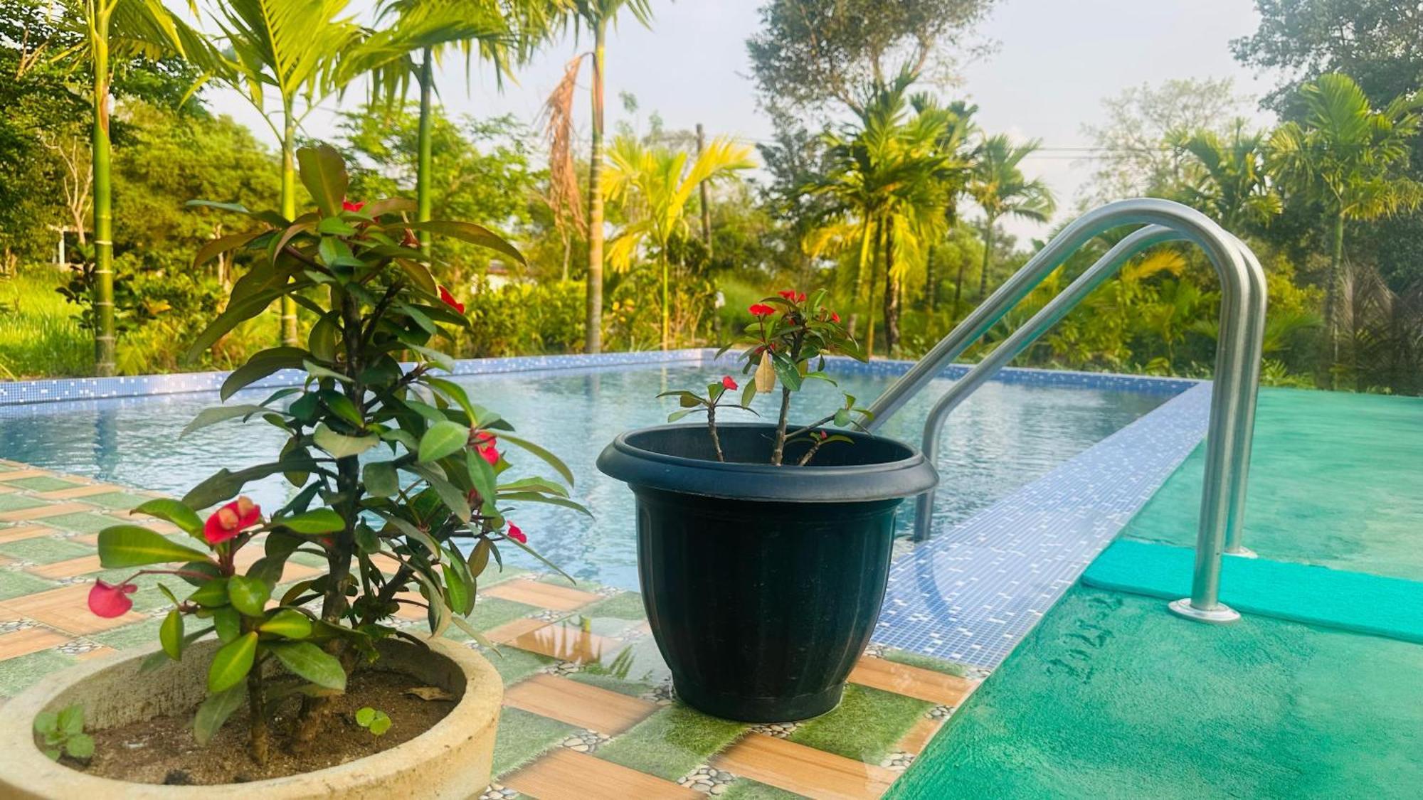 Dew Ashi Homestay سيغيرِيا المظهر الخارجي الصورة